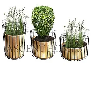 Ascent Homes Metal Wire Based Planter Stand with Metal Pot- Set of 3