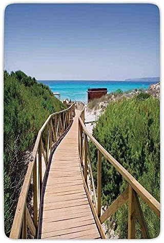 TRAzz Bathroom Bath Rug Kitchen Floor Mat Carpet,Beach,Beach Pathway over the Woodland in Spain Countryside Cottage Summer Sun Print,Green Cream Blue,Flannel Microfiber Non-slip Soft Absorbent