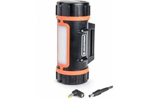 Celestron PowerTank LiFePO4 Batterie Power Tank 12 V/3 A pour télescope + fiche coudée de Protection