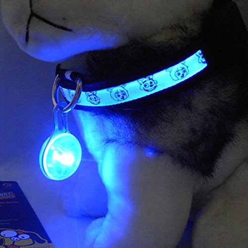 Hot-Sale-Pet-Dog-Safety-Collar-LED-Light-up-Flashing-Clip-Collar-On-Glow-Light-In-The-Dark