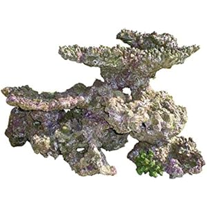 Haquoss Rock Viva Kunstharz 8, 53x 38x 36H cm