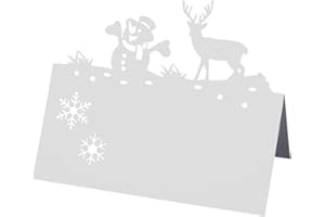 ZNDFTW 30 PCS Christmas Place Cards Name Cards Table Name Cards, Table Place Name Cards Place Cards for Table Name Place Cards, Christmas Table Christmas Winter Theme Frozen Theme Party