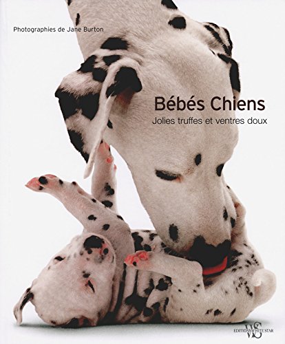 Download Bébés chiens - Jolies truffes et ventres doux Download Bébés chiens - Jolies truffes et ventres doux
