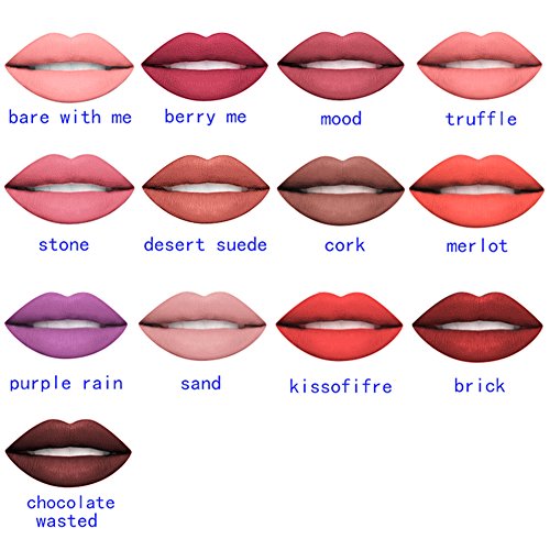 SOC 14 Farben Matte Lipgloss Wasserdicht Langlebig Nicht Verblassen Lippenstift Sexy Long Lasting Waterproof Moisturizing Lip Gloss Fashionable Colors Lipstick Molie - 6