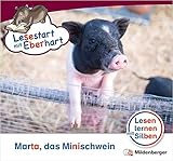 Lesestart mit Eberhart: Marta das Minischwein: Themenhefte für Erstleser, Lesestufe 5 (Lesestart mit Eberhart / Lesen lernen mit Silben - Themenhefte für Erstleser - 5 Lesestufen - je 10 Hefte) by 