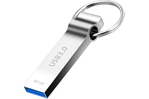 GERMGUARDIAN Memoria USB 982GB, Alta Velocidad USB 3.0 Pendrive Gran Capacidad Memory Stick Metal Disco Duro Externo, para Almacenamiento de Datos, TV, PC, Portátil, ect