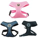LA-VIE-Pettorina-per-cani-imbracatura-morbida-regolabile-per-cani-di-taglia-piccola-e-media-imbottita-traspirante-taglia-XSSMLXL