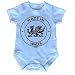 Fonfella Baby MADE IN WALES DESIGN Babygrow (0-3 Months SHORT SLEEVE - Blue)
