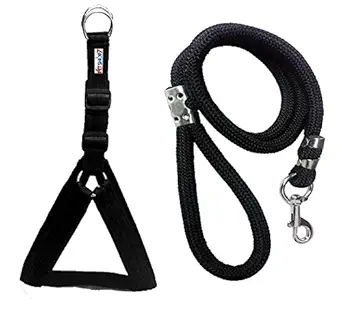 Skora Nylon Padded Black adjustable Dog Harness & Leash Rope 1 Inch for Medium size Pet (Chest Size : 24-29)