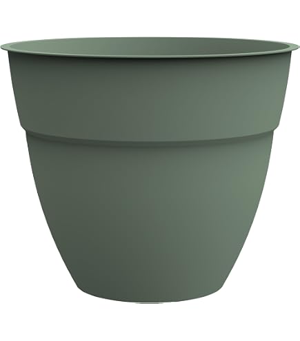 Soucoupe universelle - diamètre 30 cm - Osaka