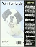 Image de San Bernardo / St. Bernard