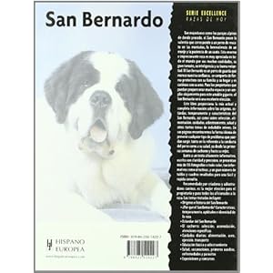 San Bernardo / St. Bernard