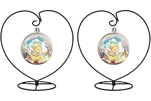 Fosinz Espositore ornamentale, confezione da 2 ganci in ferro per appendere globo di vetro, piante, terrario, palla di Natale, decorazione per la casa e per matrimoni