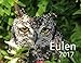 Eulen - Kalender 2017 by 