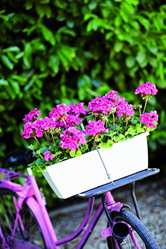 elho Barcelona Balkonkasten Geländertopf 50cm – Anthrazit - 7