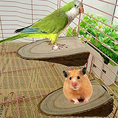 GSYClbf 2 Creatividad única Piezas de Madera pájaro Loro Soporte Perca Barra Jaula Palo mordedura Plataforma Mascota Juguete decoración Wood Color
