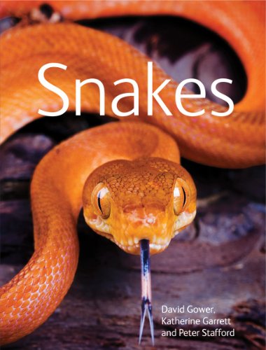 Télécharger Snakes Gratuit