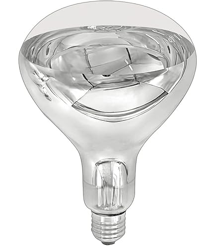 Hobby Sunlight Eco günstig kaufen bei
