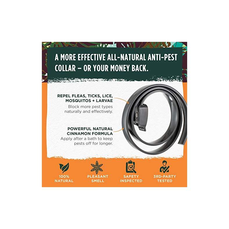 collar antigarrapatas