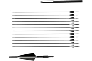 biubiusot 12erPfeile für Bogenschießen 31 Zoll Bogenpfeile Jagdpfeile Pfeile Übungspfeile Fiberglaspfeile für Anfänger Pfeil und Bogen Zielübung