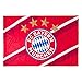 Produktbild FC Bayern Hissfahne/Fahne / Flagge" Stripes" 150x100 (2 Ösen)