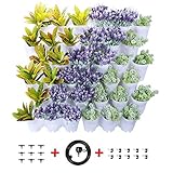 Lieferumfang beinhaltet: 12x Paket Blumentöpfe, 36x schwarze Innendeckel, 1x Bewässerungssystem (20x Anti-Verstopfungsfilter, 6x Verschlusskappe, 36x 8-mm-Dehnschrauben,1x 2,8 m schwarz PVC Schlauch). 3 Jahre Garantie.