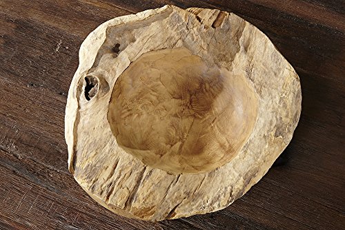 Exklusive Teak Holz Schale 30cm NATURE ROOT massives Wurzelholz natur - 6