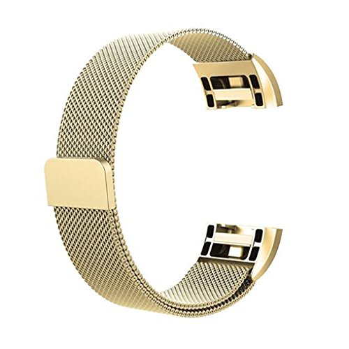 Preisvergleich Produktbild Royalr Magnetverschluss Uhrenarmband-Smart-Handgelenk-Band ersetzen Woven Edelstahl-Kettenarmband-Gurt für Fitbit 2 Aufladen