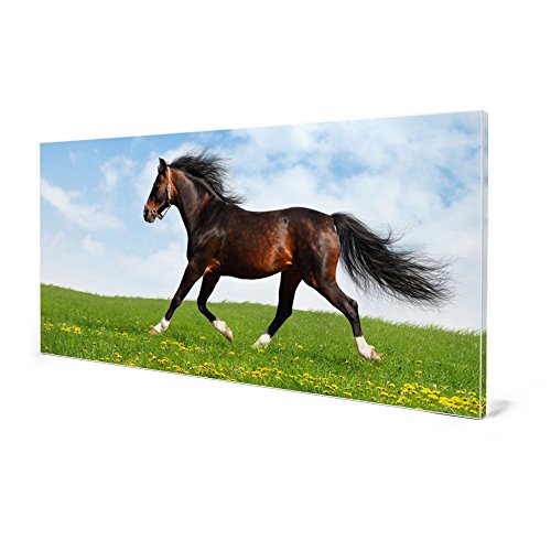 banjado – Pinnwand Magnettafel weiß 78cm x 37cm quer mit Motiv Pferd - 4