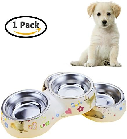 Stainless Steel Pet Dog Cat Bowl Anti-Slip Cartoon Non-toxic Removable Double Diner Food Water Bowl Feeding Station Tray