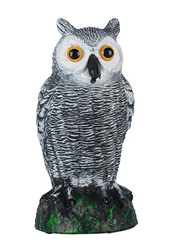 TIFANTI Repelentes Premium de Aves Colgantes de Anteojeras de Búho Para Palomas, Carpinteros, Patos Y Otras Especies