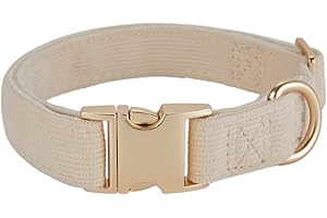 YUDOTE Ultraweiches Hundehalsband natürliche Baumwolle Cord für Kleine Hunde mit empfindlicher Haut,Cremeweiß