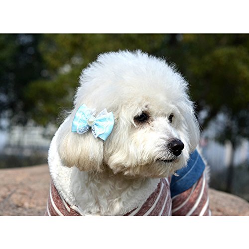 Gosear20-PCS-Pet-Hair-Bows-Hair-Band-Dog-Puppy-Cat-Grooming-Accessories-Random-Color-and-Style