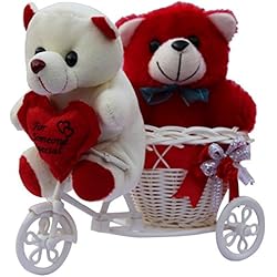 Anishop two cute teddy with a tricycle gift set, Valentine Gift
