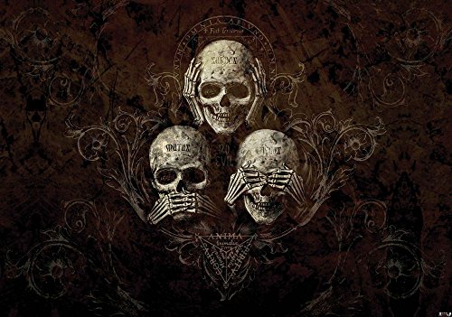 Nicht Hören Sehen Totenkopf Alchemy – Wallsticker Warehouse – Fototapete – Tapete – Fotomural – Mural Wandbild – (978WM) – XL – 208cm x 146cm – VLIES (EasyInstall) – 2 Pieces - 5
