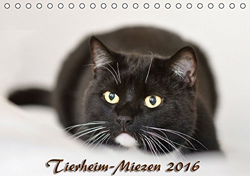 Tierheim-Miezen 2016 (Tischkalender 2016 DIN A5 quer): Kleine und große vierbeinige Individualisten warten auf ein neues Zuhause... (Monatskalender, 14 Seiten ) (CALVENDO Tiere)
