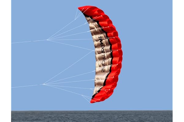 Kwasyo 2.5m Deux Ligne Parapente Cerf-Volant avec Manette 30m, Cerf-Volant pour Le Sport en Plage, Jeux de Plein Air dans Le Jardin