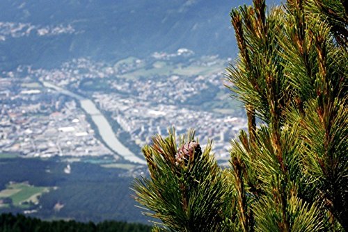 Original Tiroler ZirbenKissen - 2