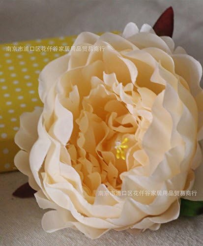 HUAYIFANG Photo Props Emulation Peony Flower Head Of Legal Medicine Flowers Flowers Silk Flower Artificial Flower Shoes And Hats Video Champagne Color