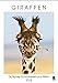 Produktbild Giraffen: Schlanke Schönheiten aus Afrika (Wandkalender 2018 DIN A2 hoch): Tiere mit Weitblick: Netzgiraffe, Massai Giraffe, Rothschild Giraffe ... [Kalender] [Apr 01, 2017] CALVENDO, k.A.