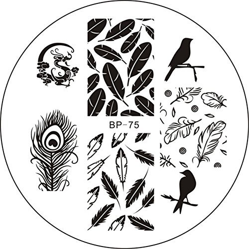 Born Pretty Nail Art Stamp Template Image Plate Birds Dragon Feather