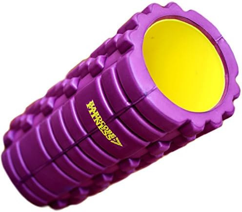 HardCore Fitness HardCore Foam Roller for Fast Pain Relief and Easing Tight Muscles with Workout Guide E-Book - Purple