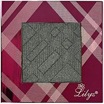 Lilyz Multi-Function Shimmer Highlighter Eyeshadow Palette with Hot Pink High Shine Case 3.5g (44# Misty Silver)