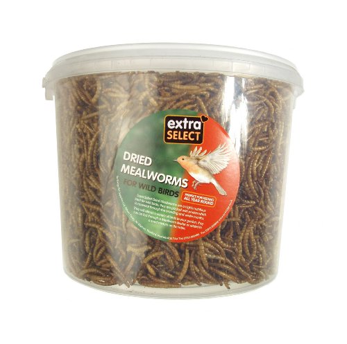 Extra Select Mealworms Tub, 5 L