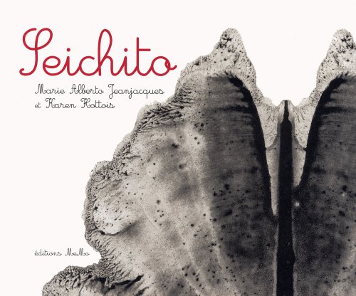 couverture de : Seichito