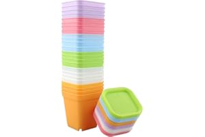 KINGLAKE 24 Pièces 7CM Petit Pot de Fleurs Semis, Godet Semis Plastique, Pot de Repiquage, adapté aux Semis,Succulentes,Petit Plantes-6couleur