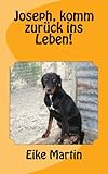 Bücher Neuerscheinungen 2022 - Joseph, komm zurück ins Leben! von Eike Martin