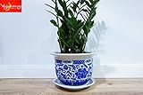  Yajutang China Porzellan Blumentopf Pflanztopf Blau-Weiß Stil mit Untersetzter Ø 24cm p0061-3