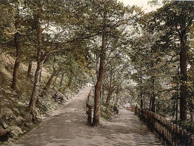 The Plantation Exmouth - 25 x 19cms Fabric Topped Mouse Mat