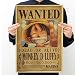 Produktbild Loheag Clinor One Piece Poster, Monkey D Luffy / Sanji / Roronoa Zoro / Nami / Usopp / Tony Tony Chopper / Nico Robin / Franky / Brook / Portgus D Ace Anime Fanartikel Manga Poster, Sammlung und Geschenk für Fans von One Piece (H01)